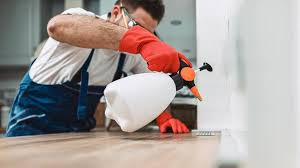 Best Residential Pest Control  in Salmon Creek, WA